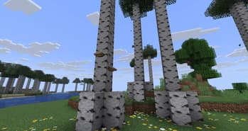 Improved/More Biomes screenshot