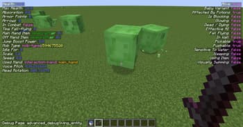 Advanced Debug screenshot