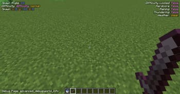 Advanced Debug screenshot