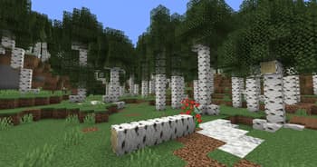 Arboria: Biome Enhancement screenshot