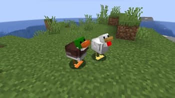 Duck Mod screenshot