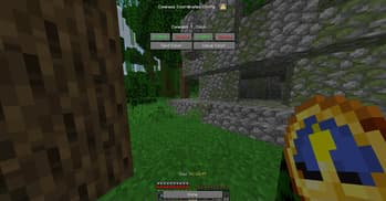 Compass Coordinates screenshot