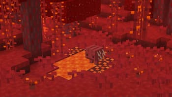 Smoube (1.21.8 UPDATE OUT!) screenshot