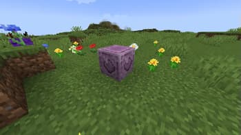 Chorus Links screenshot