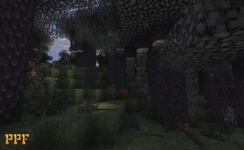 Pixel Perfection Fidelity screenshot