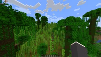 VulkanMod screenshot