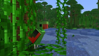 Aussie Parrots screenshot