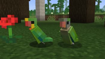 Aussie Parrots screenshot