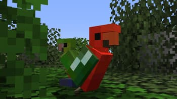 Aussie Parrots screenshot