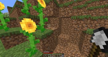 Helg screenshot