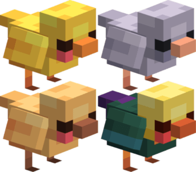 🐔Cluckin' CHICKS🐤 screenshot