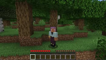 InvalidPlayerBypassList screenshot