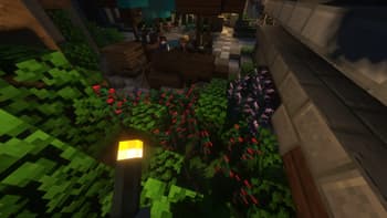 WynnLantern screenshot