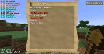 Project MMO screenshot
