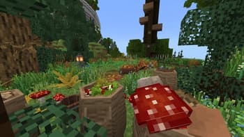 DecoNature screenshot