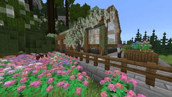 DecoNature screenshot