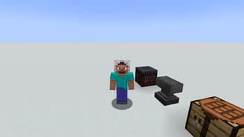 Catears on armor screenshot