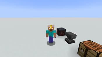 Catears on armor screenshot