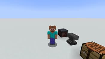 Catears on armor screenshot