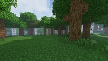 Taller Forests screenshot
