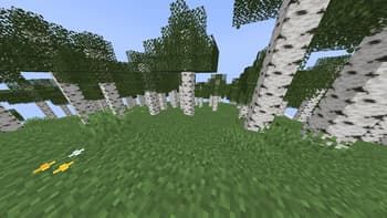 Taller Forests screenshot