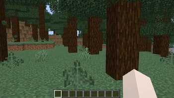 Taller Forests screenshot