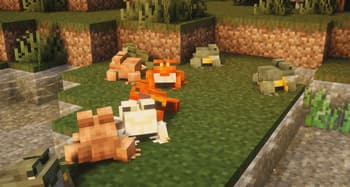 Assorted Frogs x Fresh Animations screenshot