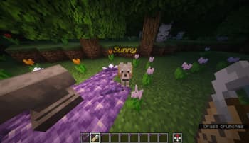 Better Lore screenshot