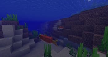 Accurate Salmon Variation screenshot