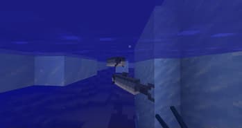 Accurate Salmon Variation screenshot