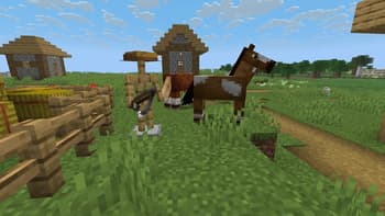 Villager Vanity screenshot