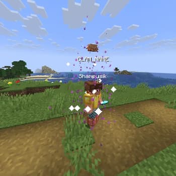 ClansFix screenshot
