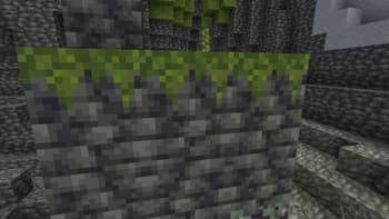 Better Moss Carpet Overhang screenshot