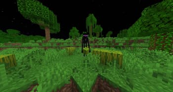 Enderman Grief screenshot