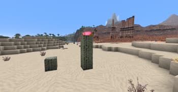 Realism upscaled screenshot