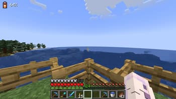 Dynamic FPS screenshot