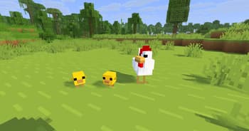 Fresh Animations x Bare Bones Better Chickens screenshot