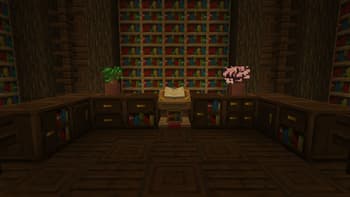 Storage Delight screenshot