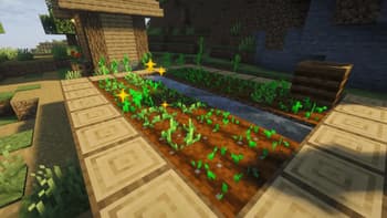 Farmer's Miracle screenshot