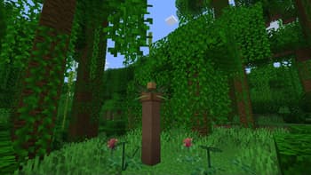 Wild Wonders screenshot