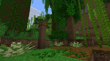 Wild Wonders screenshot