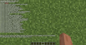 CleanerF3 screenshot