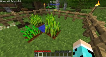 Whats This screenshot