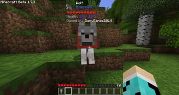 Whats This screenshot