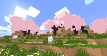 procPromo screenshot