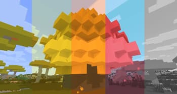 procPromo screenshot