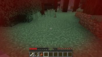 TKVM Health Warning screenshot