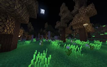 Etherology screenshot