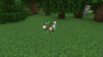 Apple Tree screenshot