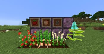 Zoni's Anime Weapons screenshot